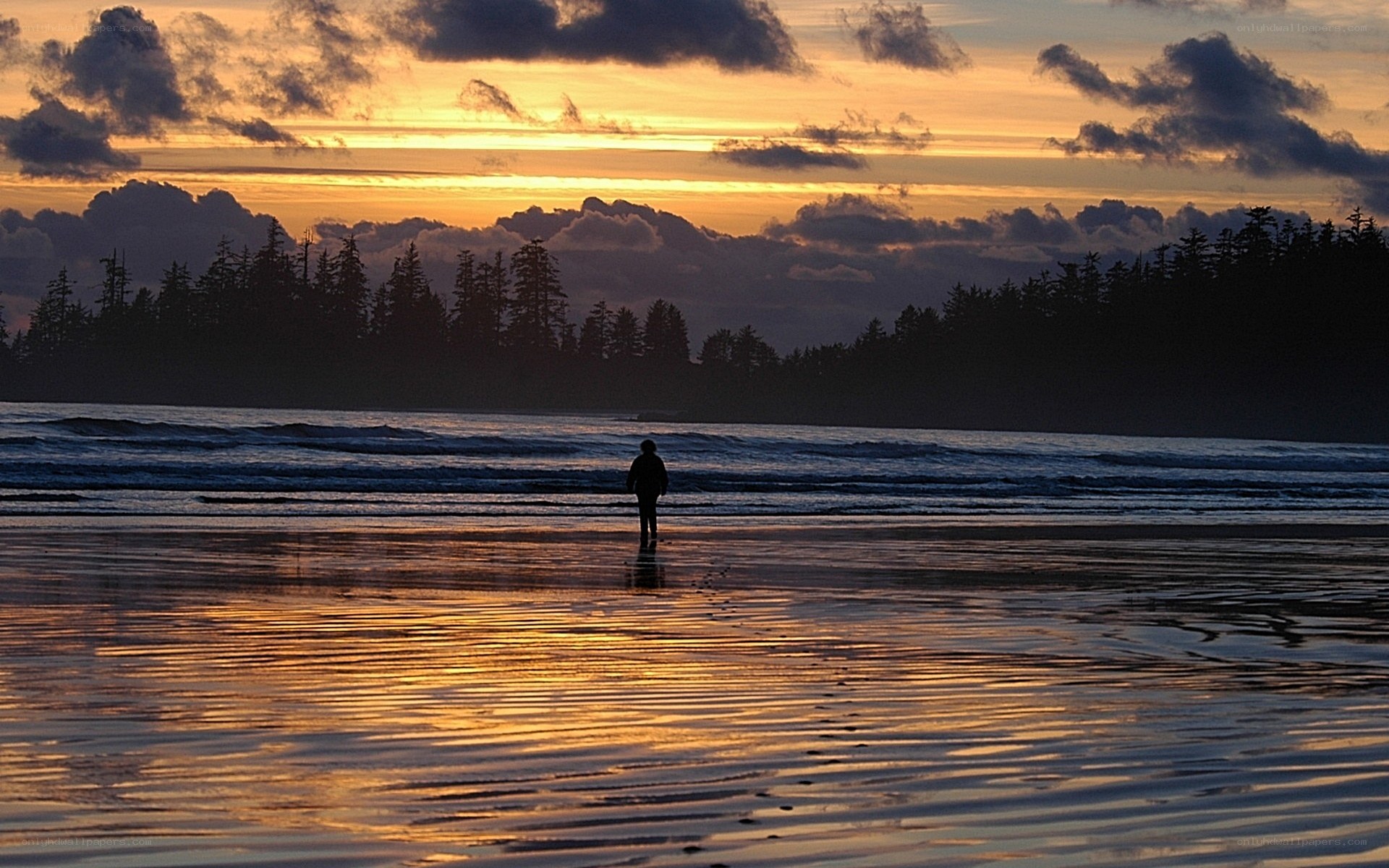 Silhouette on beach at sunset