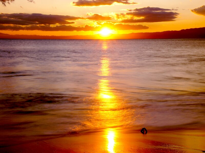 Silhouette on Beach at Sunset — Orange, Serene