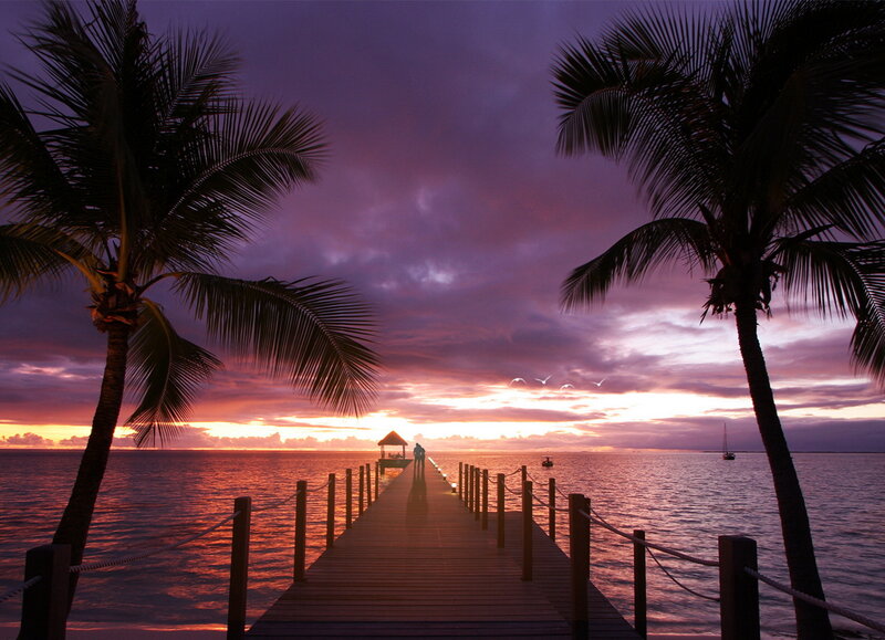 Silhouette on Pier at Sunset — Purple