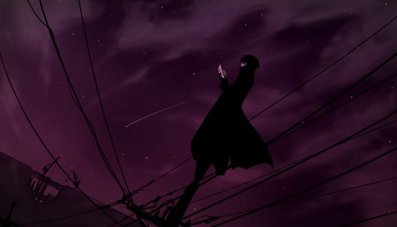 silhouette on power lines at night