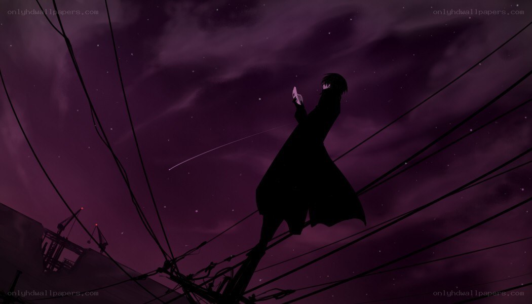 silhouette on power lines at night