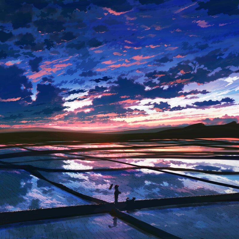 Silhouette on Rice Paddy