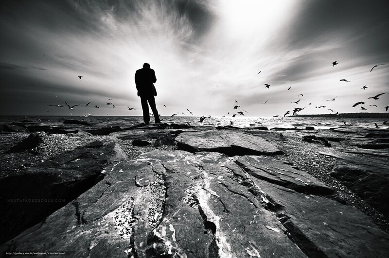 Silhouette on rocky shore