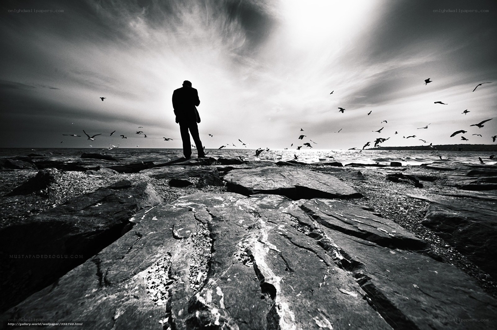 Silhouette on rocky shore