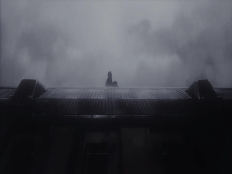 Silhouette on Rooftop — Black