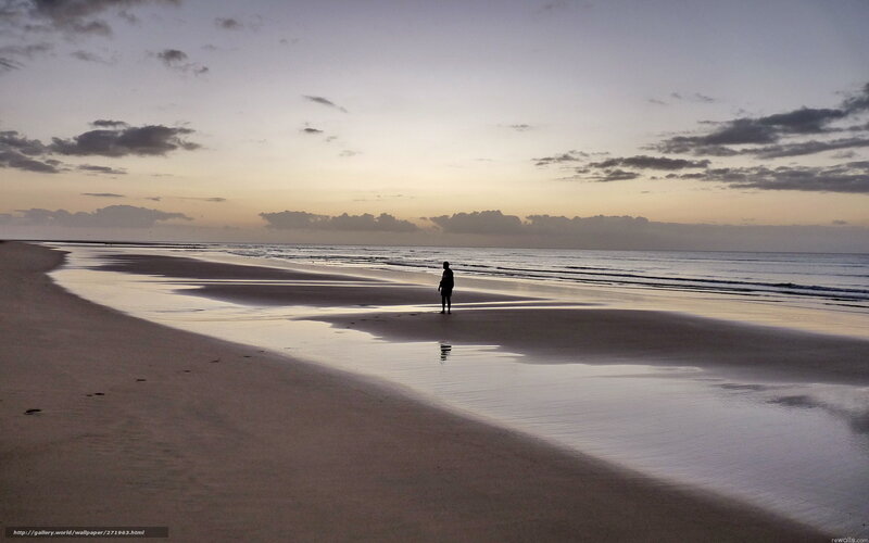 Silhouette on the beach at dusk