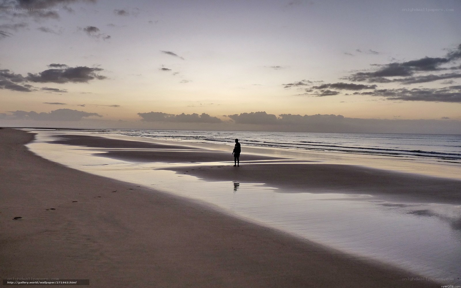 Silhouette on the beach at dusk