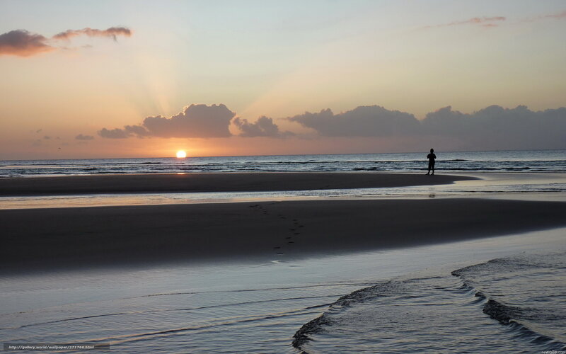 Silhouette on the beach at sunset