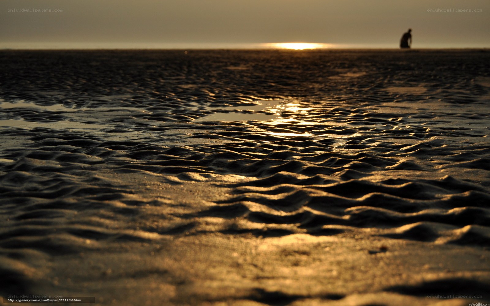 Silhouette on the beach at sunset
