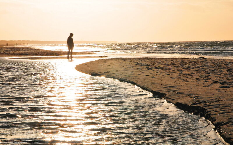Silhouette on the beach at sunset