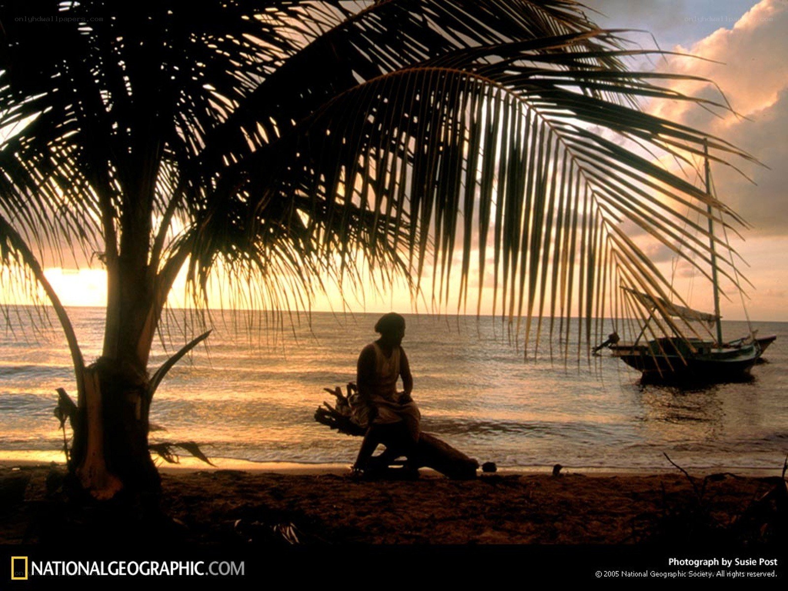 Silhouette on tropical beach at sunset