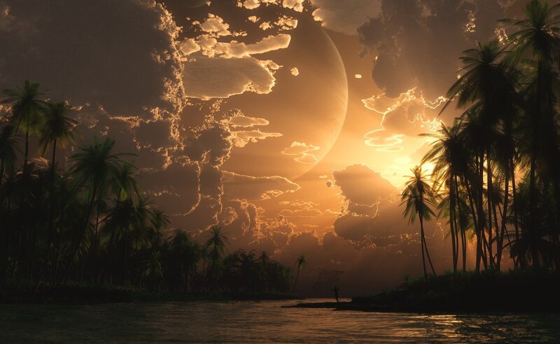 Silhouette on Tropical Shore