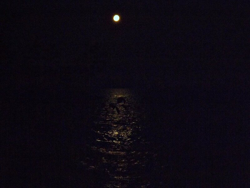 Silhouette on Water