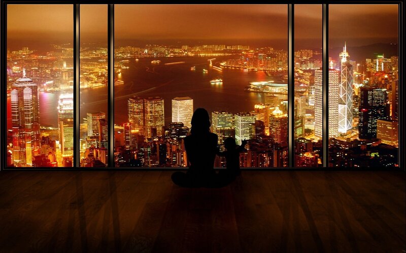 Silhouette overlooking city at night