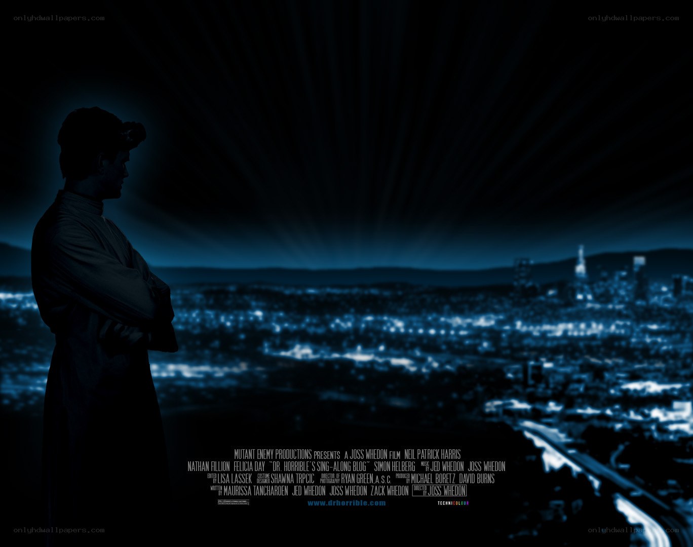 Silhouette overlooking city at night