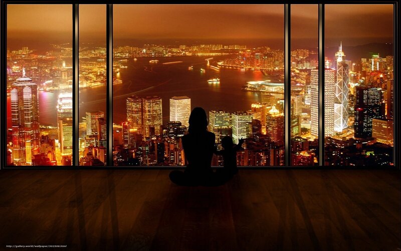 Silhouette overlooking cityscape