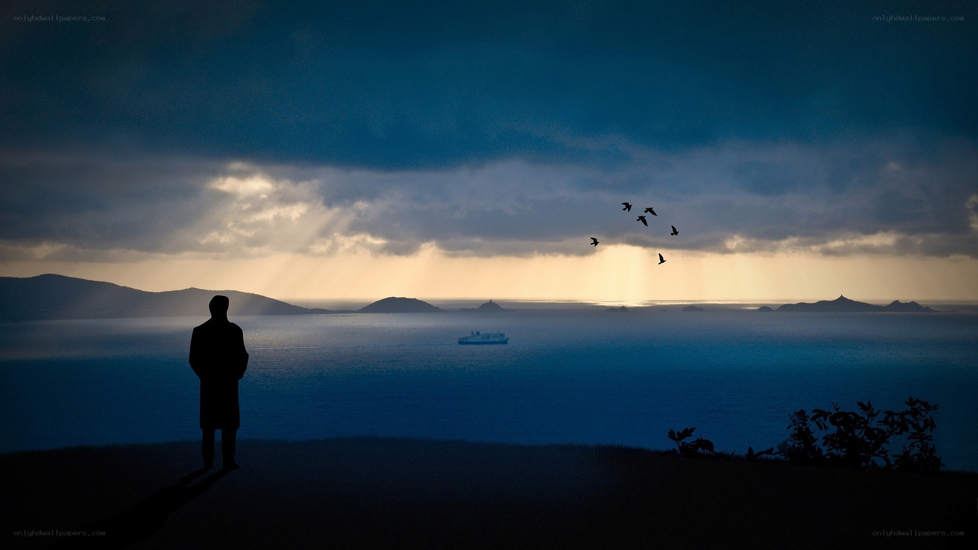 silhouette overlooking the sea