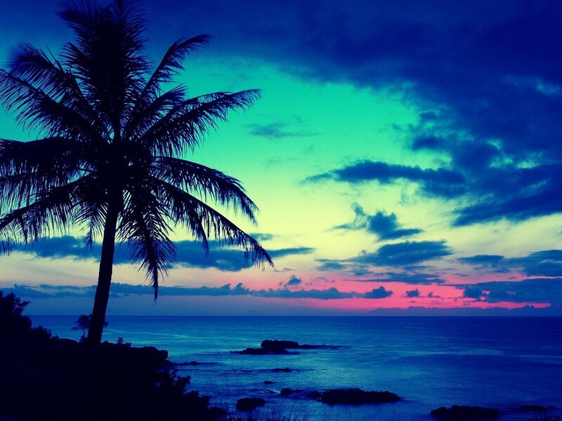 Silhouette Palm Tree — Blue, Dramatic