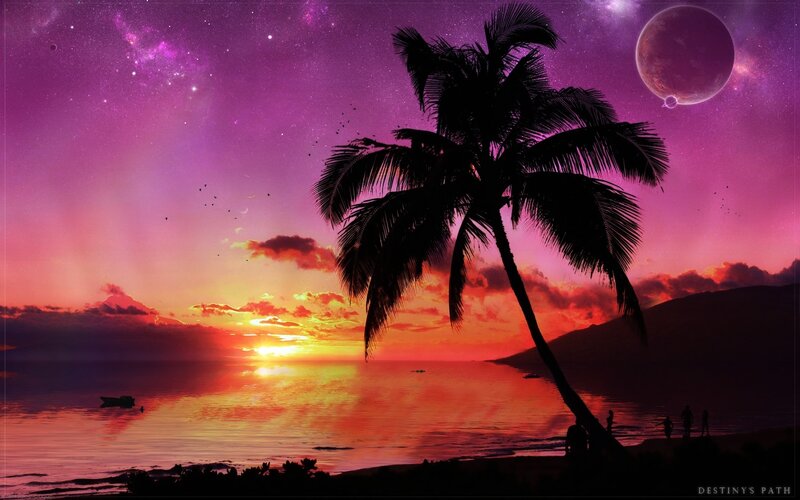 Silhouette Palm Tree — Purple, Dramatic