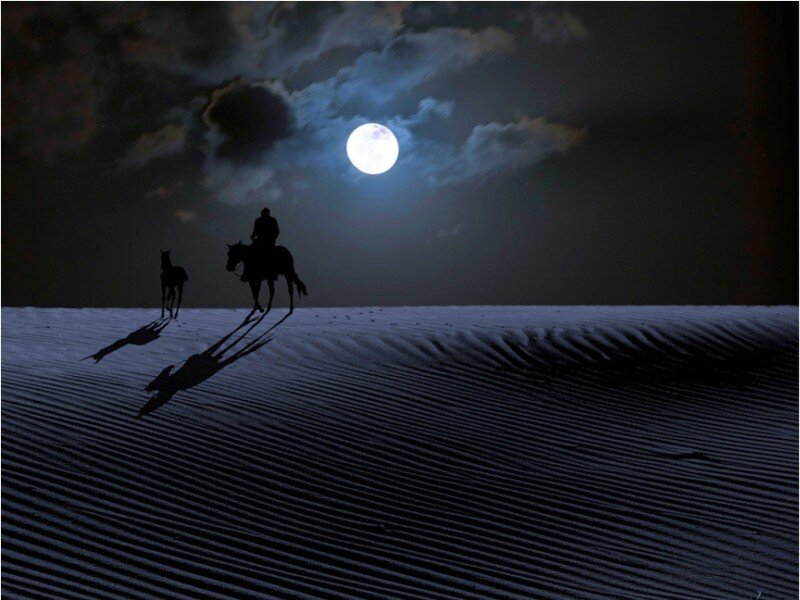 Silhouette riders under moonlight