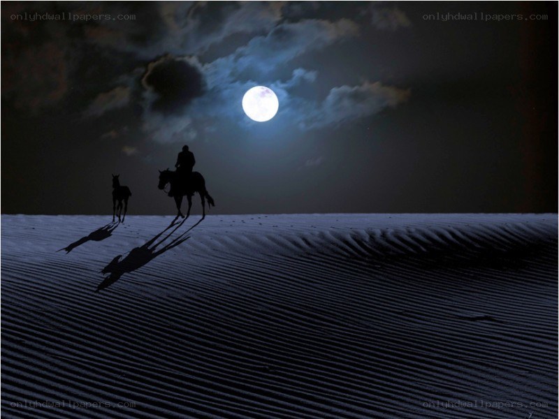 Silhouette riders under moonlight