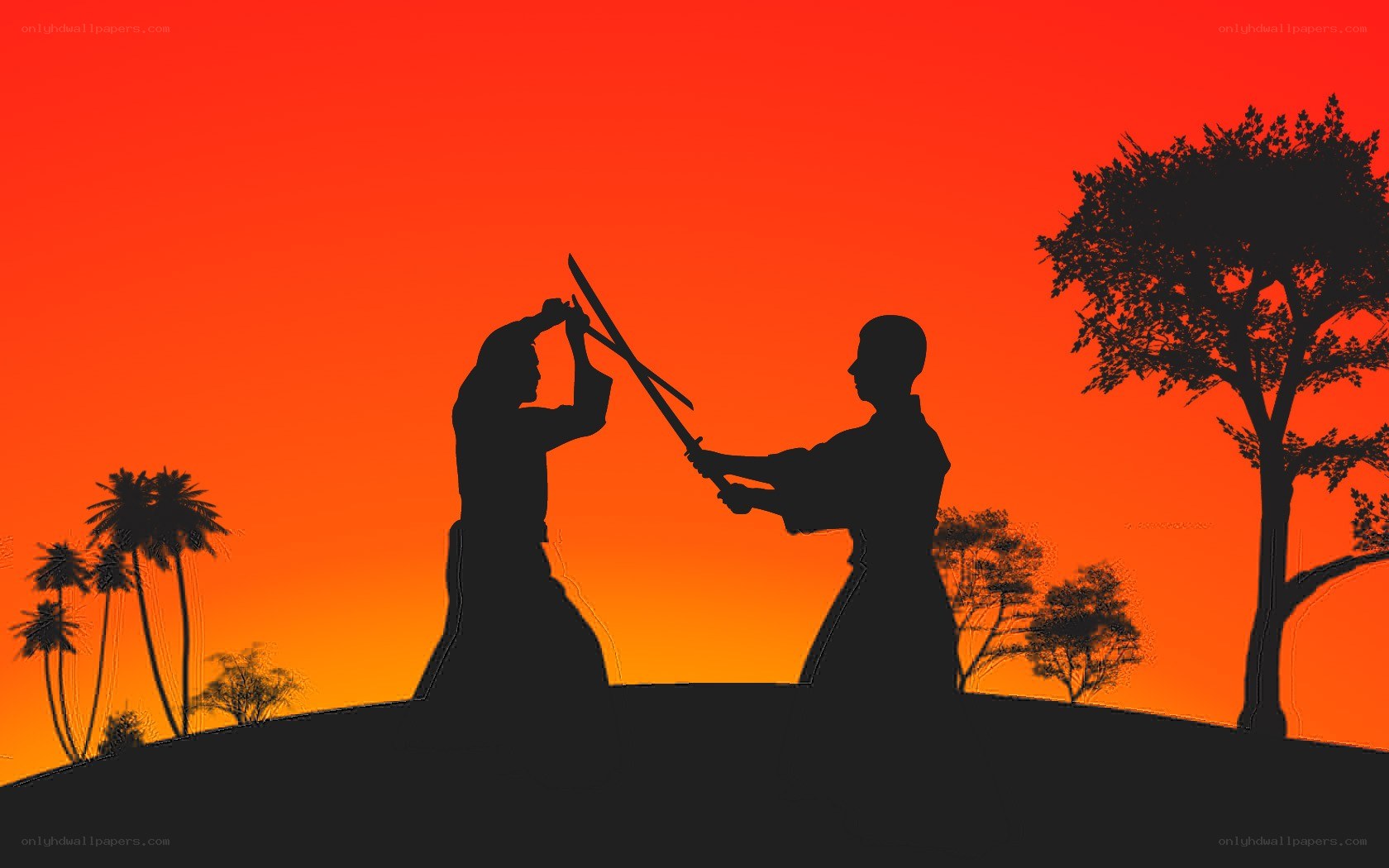 Silhouette sword fight at sunset