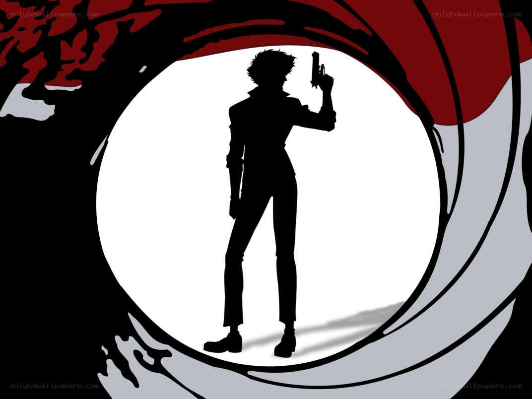 silhouette through gun barrel