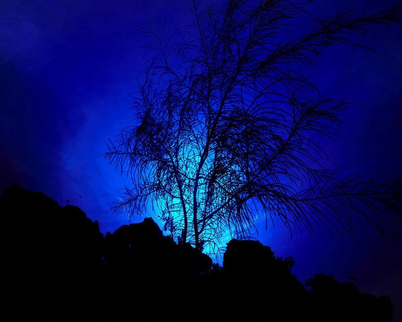Silhouette tree against blue sky