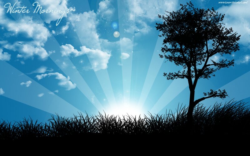 Silhouette Tree and Grass