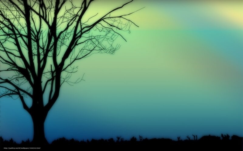 Silhouette tree at dusk