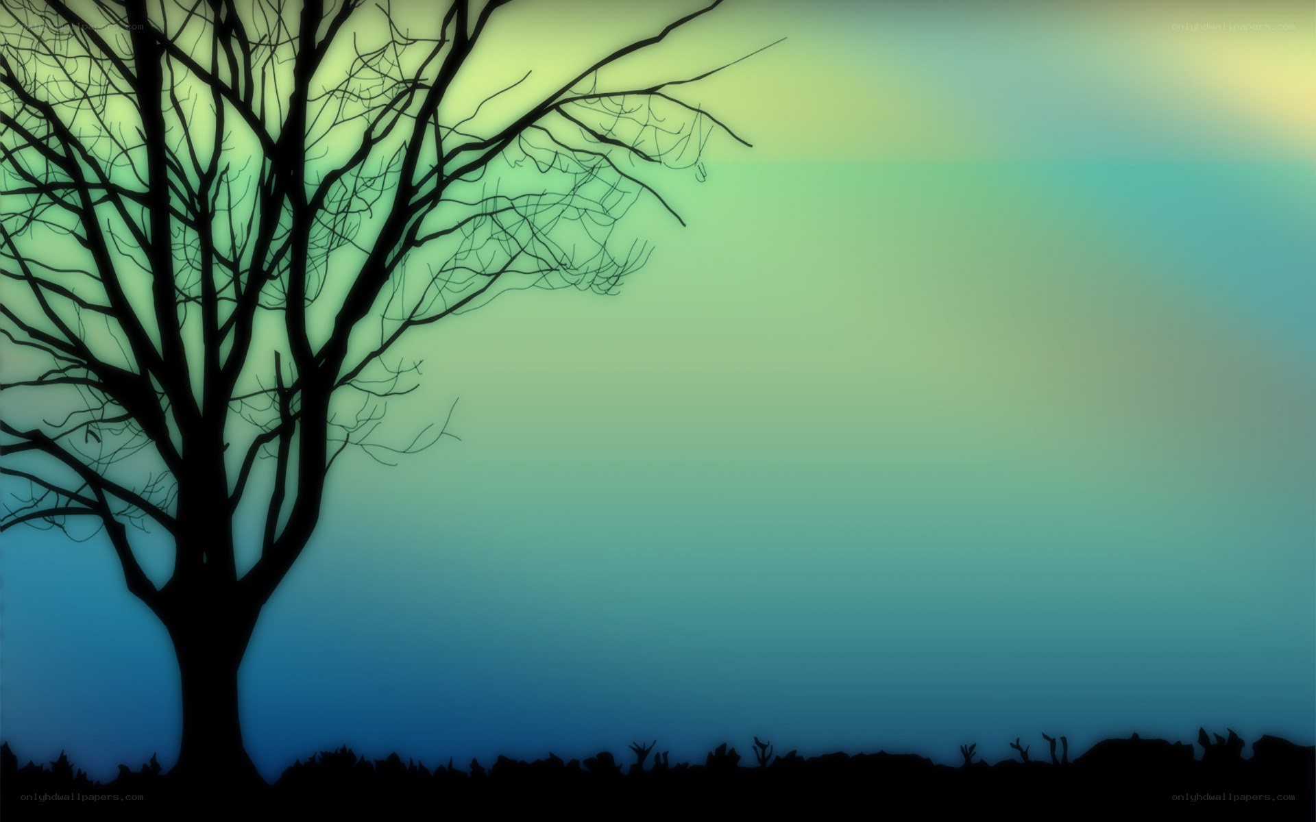 silhouette tree at dusk