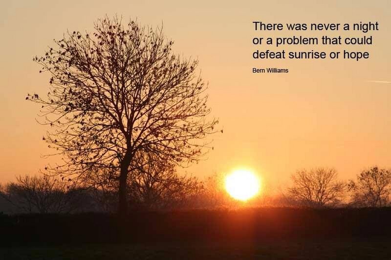 Silhouette Tree at Sunrise — Orange, Serene