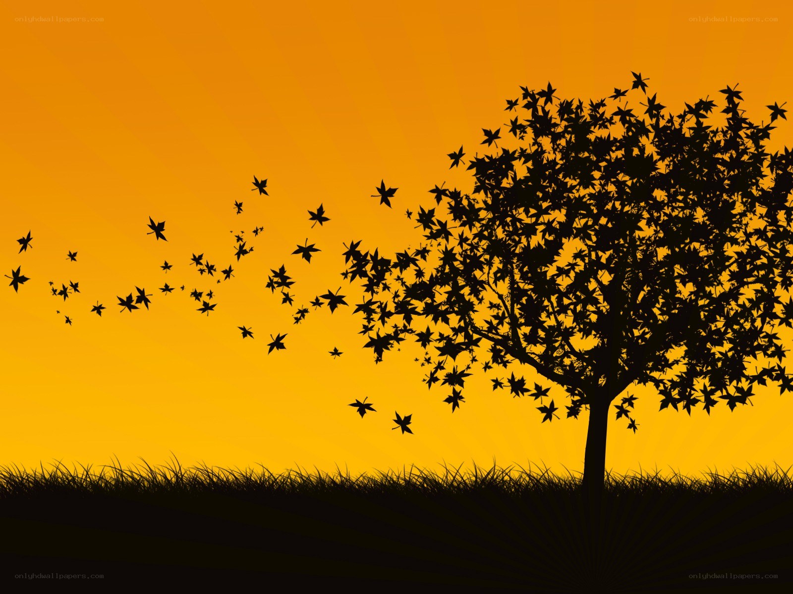 Silhouette tree at sunset