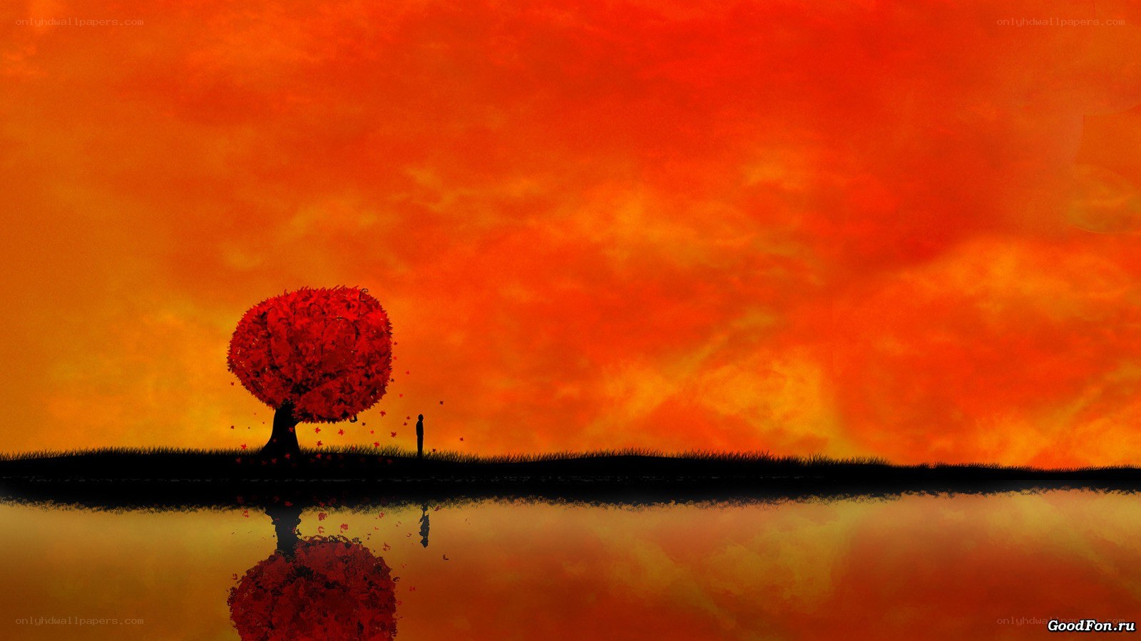 Silhouette tree at sunset