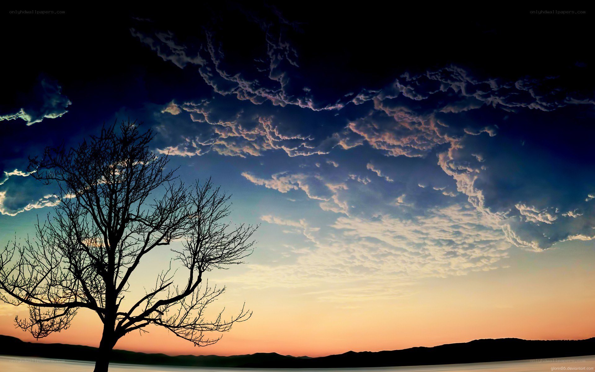 Silhouette tree at sunset