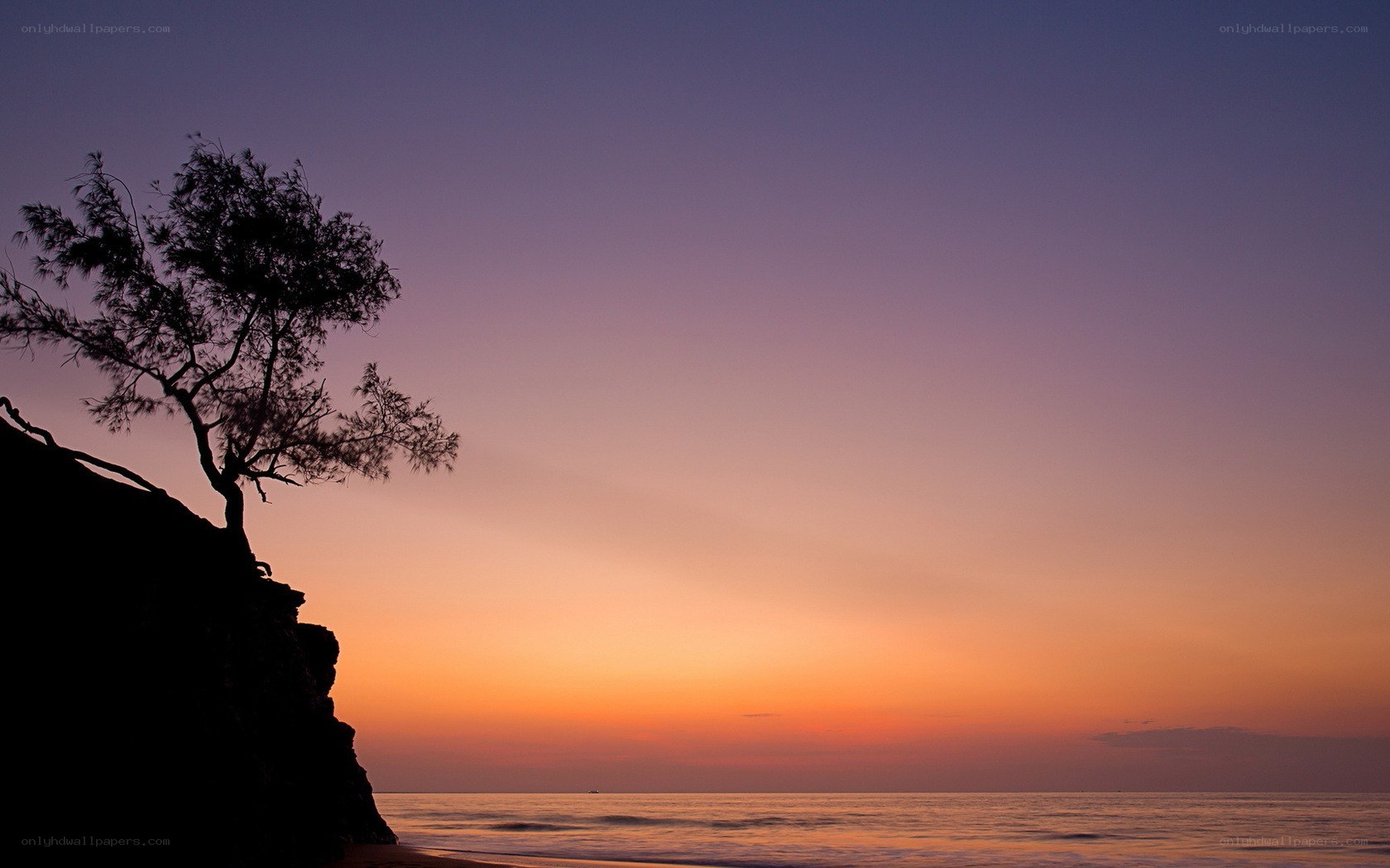 Silhouette tree at sunset