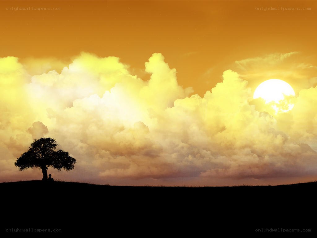 Silhouette tree at sunset