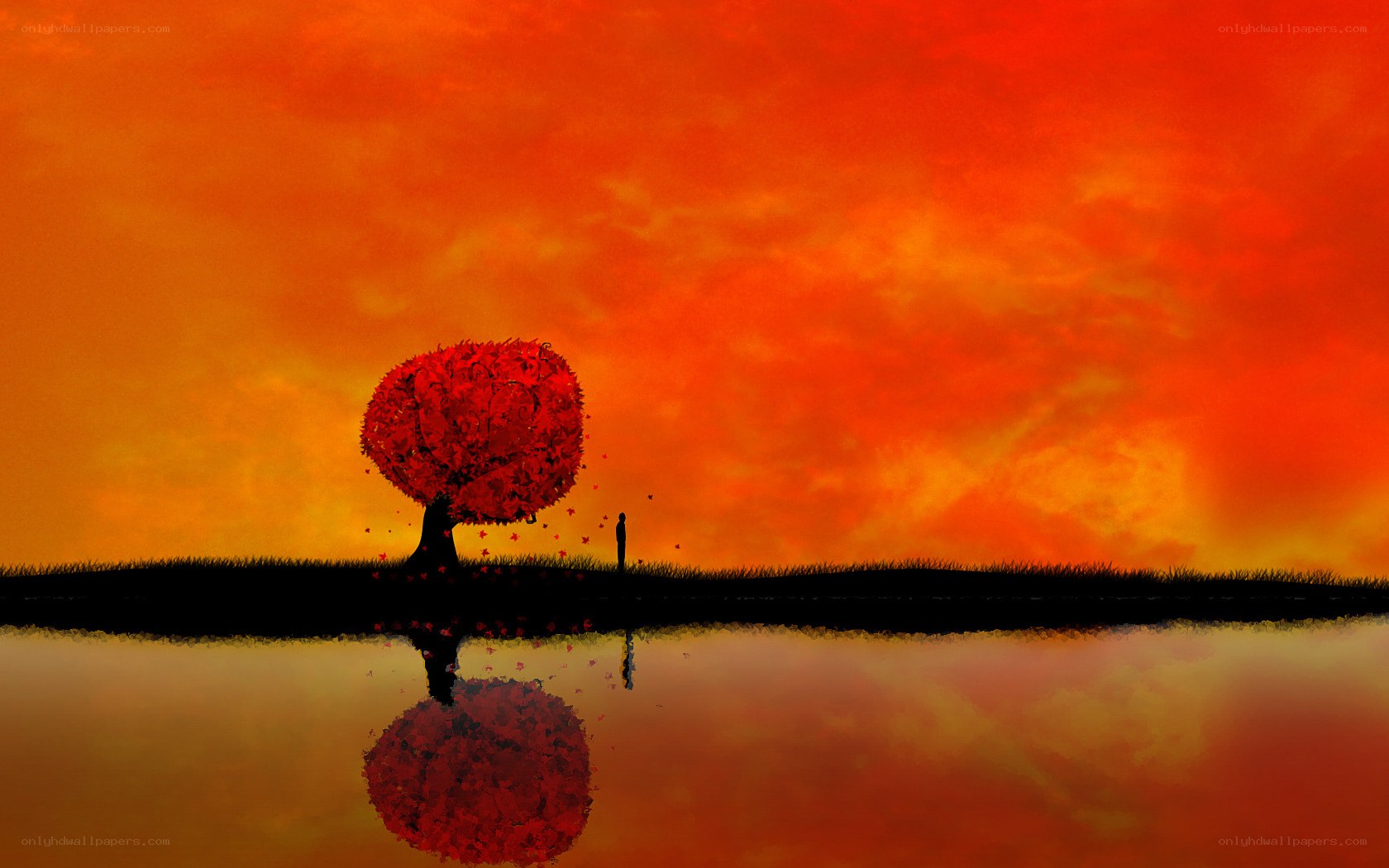 Silhouette tree at sunset