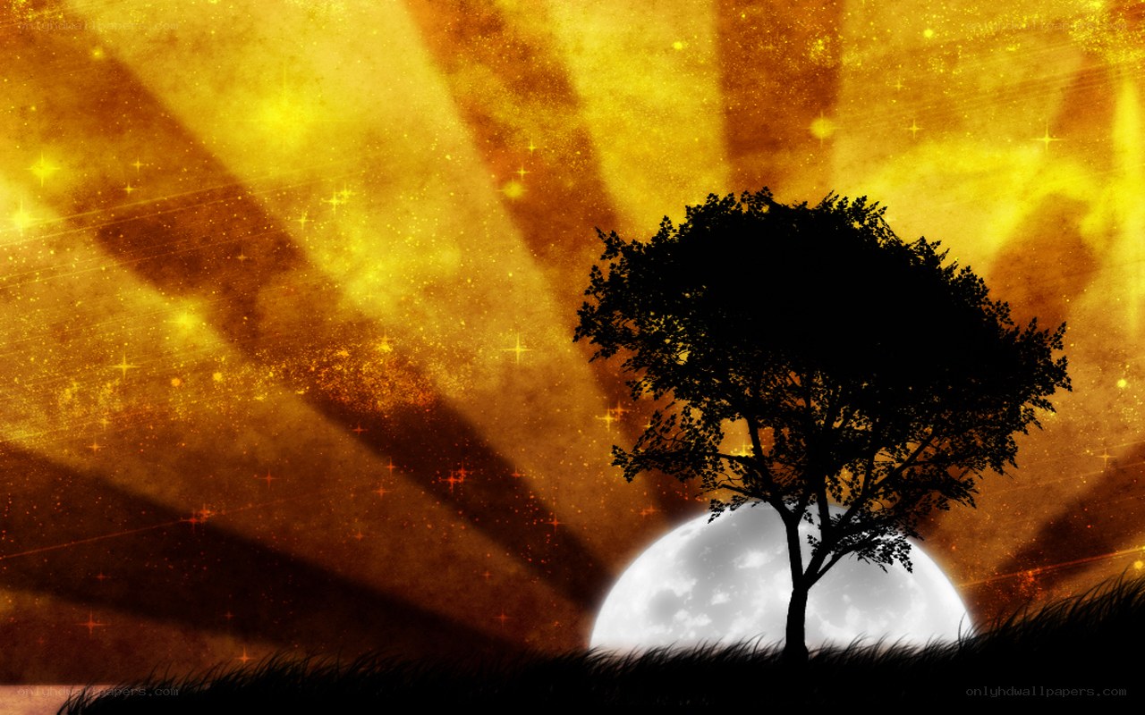Silhouette tree at sunset