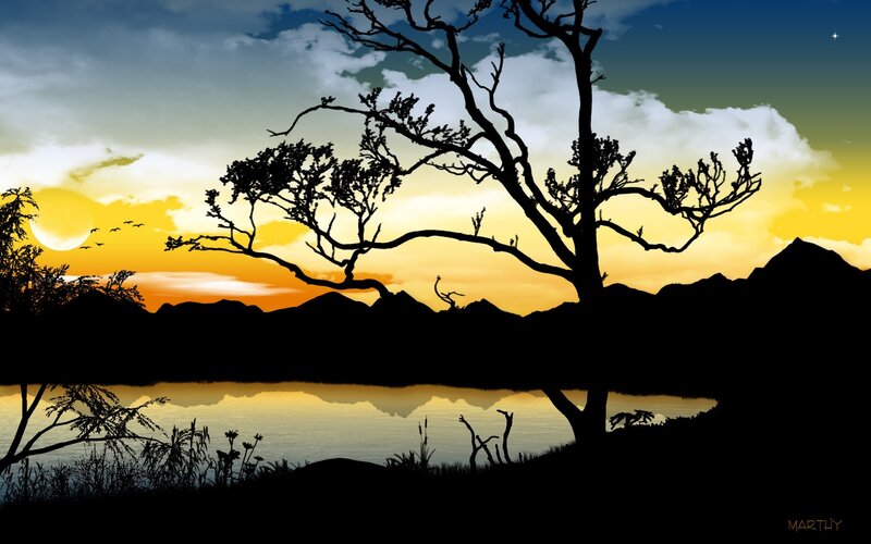 Silhouette tree at sunset