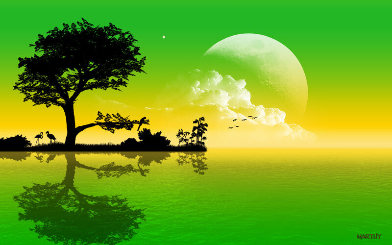 Silhouette tree at sunset