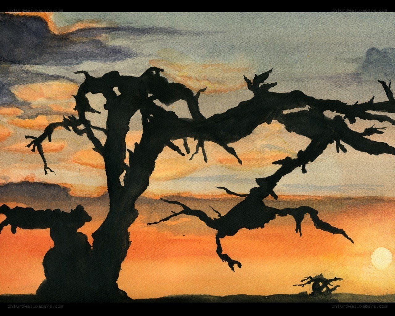 Silhouette tree at sunset
