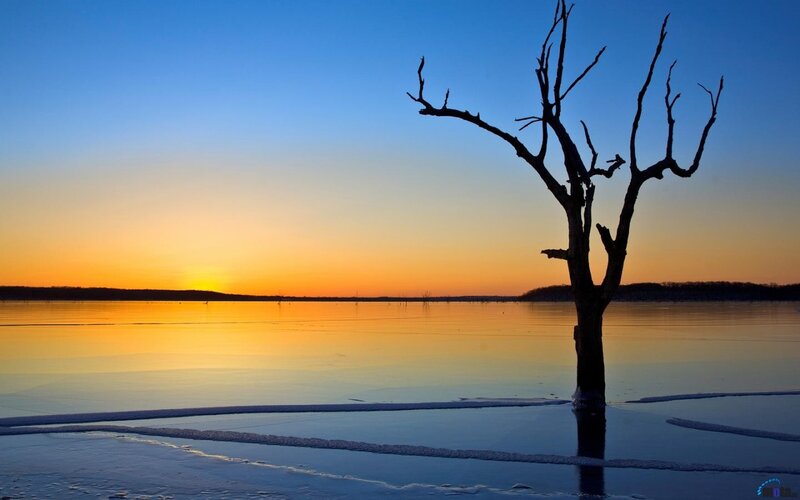 Silhouette tree at sunset on frozen lake