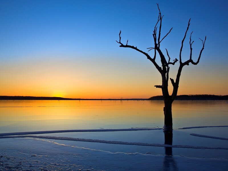 Silhouette tree at sunset on frozen lake