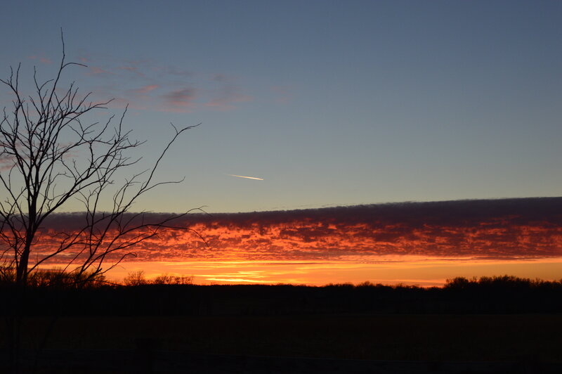Silhouette Tree at Sunset — Orange, Dramatic, Photograph, Clouds