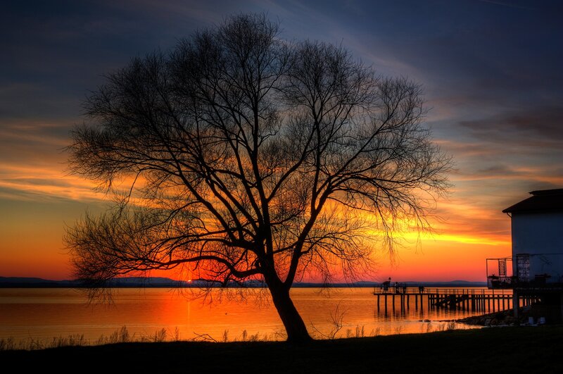 Silhouette Tree at Sunset — Orange, Dramatic, Photograph, Lake