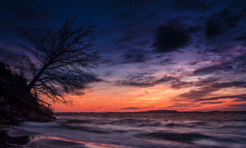 Silhouette Tree at Sunset — Orange, Dramatic, Photograph, Sky