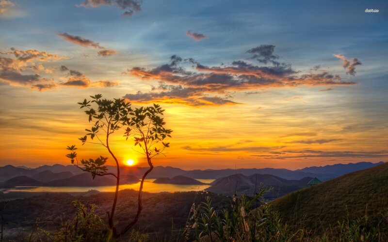 Silhouette Tree at Sunset — Orange, Serene, Photograph, Mountains