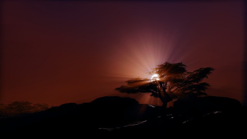Silhouette Tree at Sunset — Purple, Dramatic, Digital Art