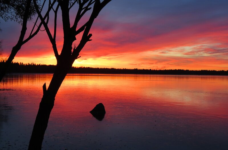 Silhouette Tree at Sunset — Red, Serene, Photograph